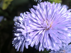 CIMG0013