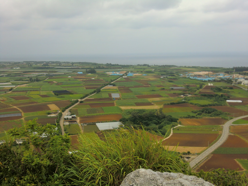 CIMG0593