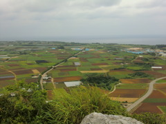 CIMG0593