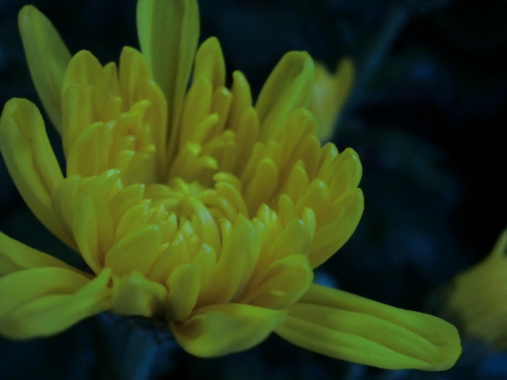 CIMG0371