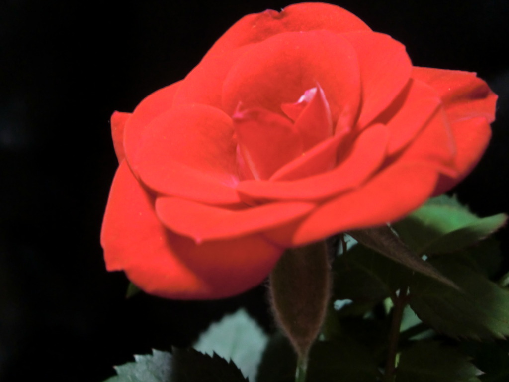 CIMG0461