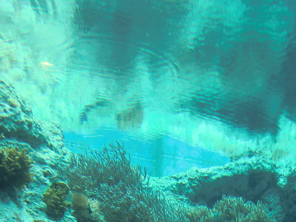 CIMG0617