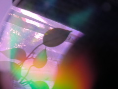 CIMG2227