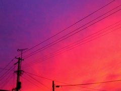 CIMG0302 