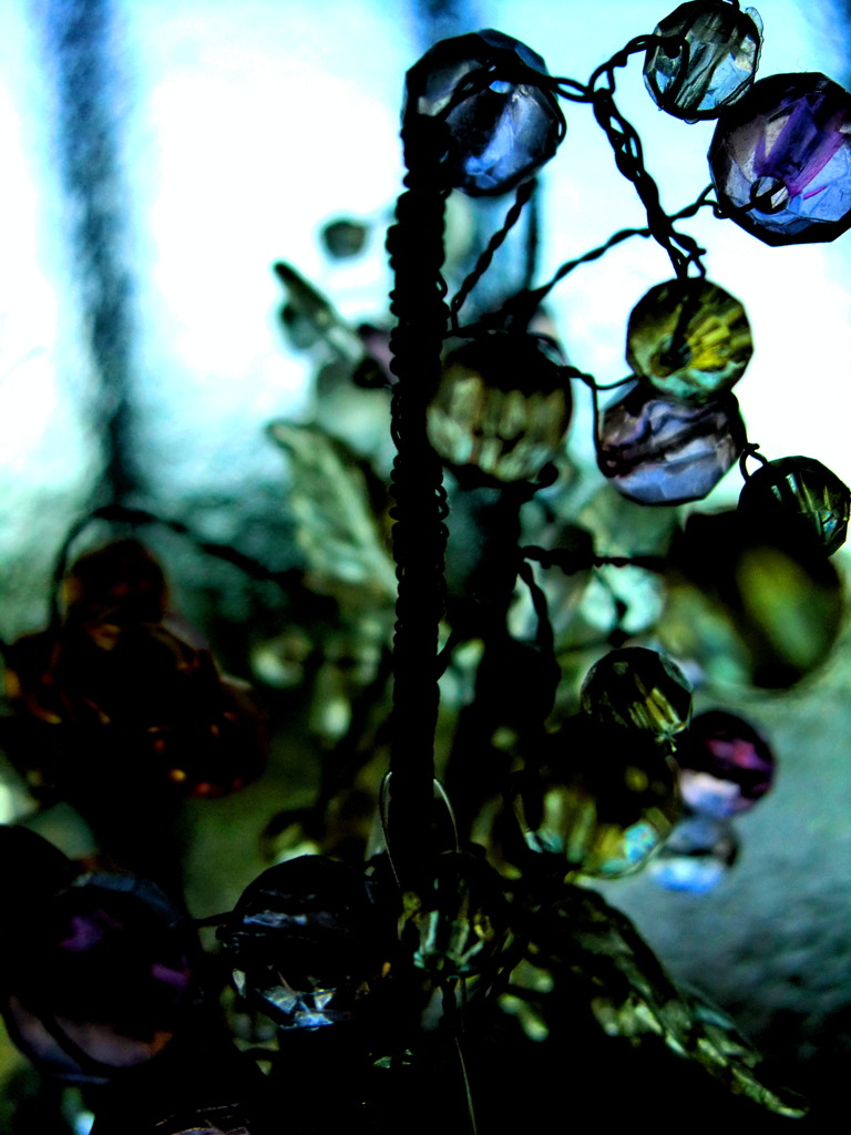 CIMG0012 