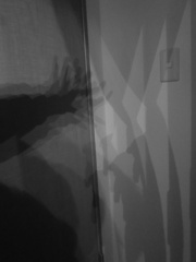 CIMG2759 