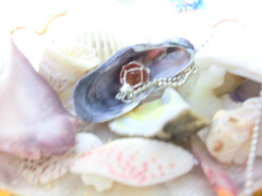 CIMG0723