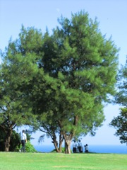 CIMG0667