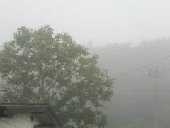 CIMG0133