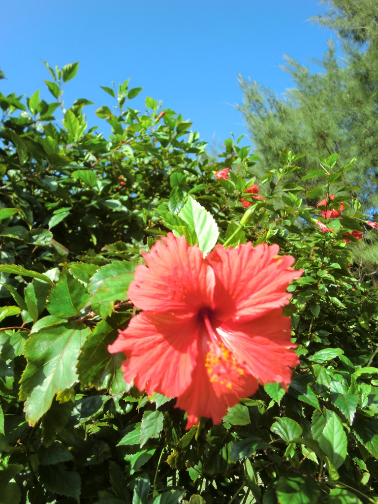 CIMG0658