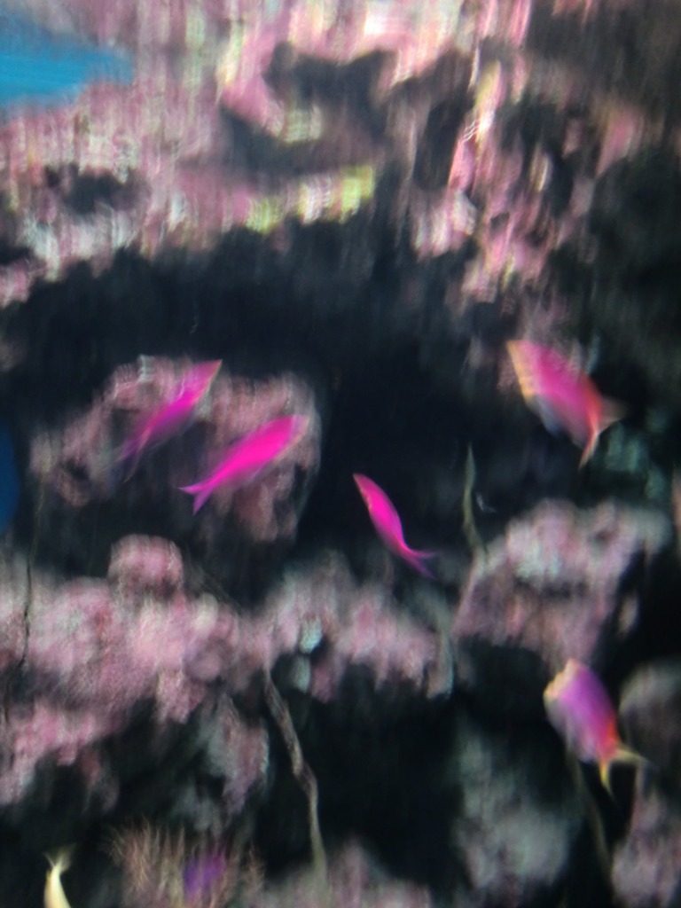 CIMG0573