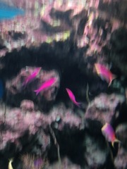 CIMG0573