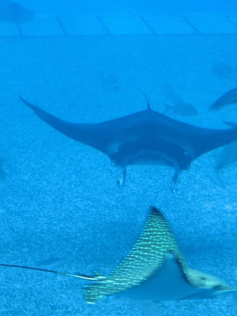CIMG0578