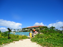 小浜島　