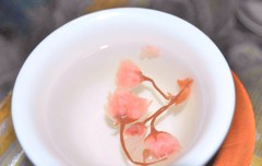 H23.4.9さくら茶