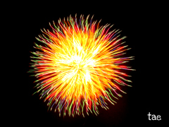 hanabi.