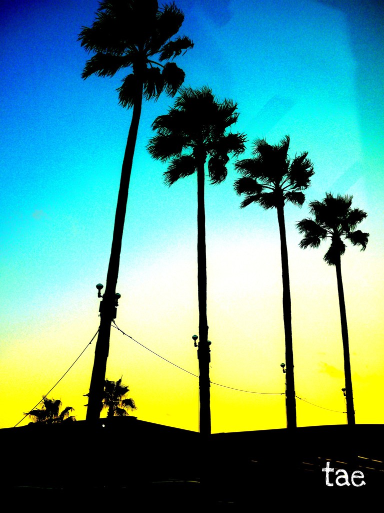 Summer.