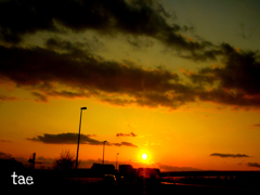 夕陽。