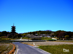 田舎。