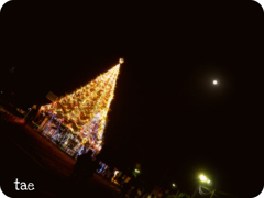 X'mas.