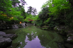 宮島の風景