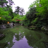 宮島の風景