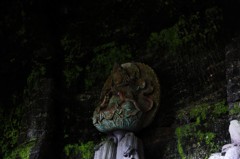 IMG_0886