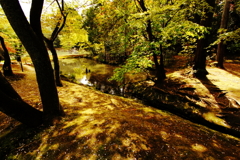 京都清水寺にて