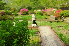 岩国にて　老婆と猫