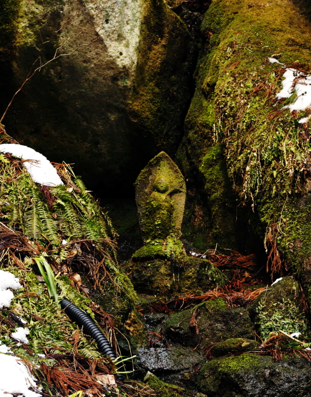 山の中で、