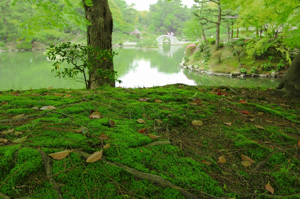 広島　縮景園