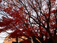 P1050019