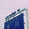 集まってきたよ