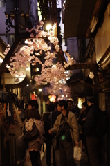 桜＠新宿