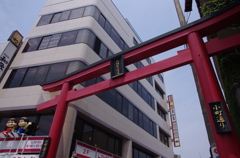 IMGP5281