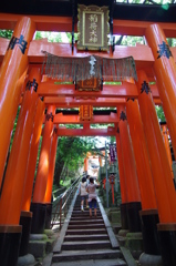 IMGP9685