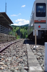 IMGP6651