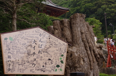 IMGP5303