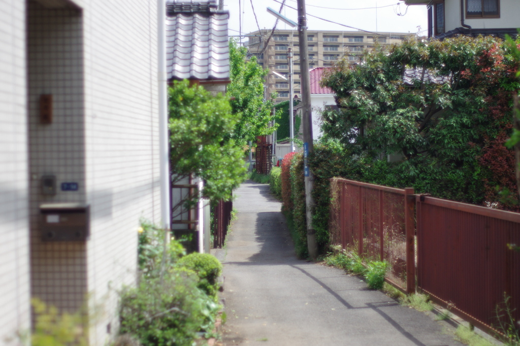 IMGP4747