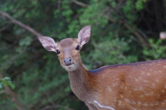 ？　その２