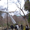 はぐれちゃった