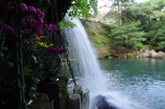 IMGP9872