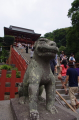 IMGP5306