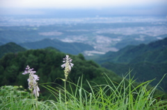 俯瞰