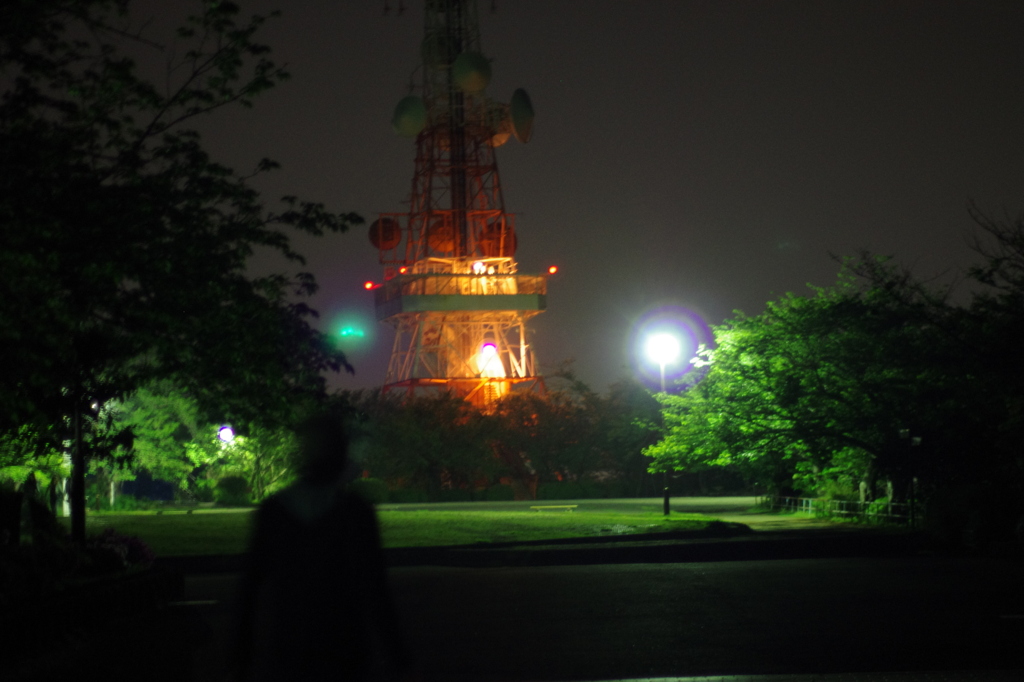 夜景を求めて・・・