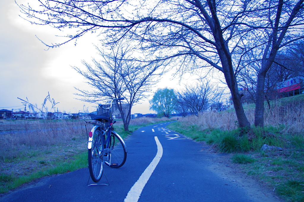 その続いている道は・・・