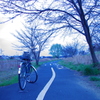 その続いている道は・・・