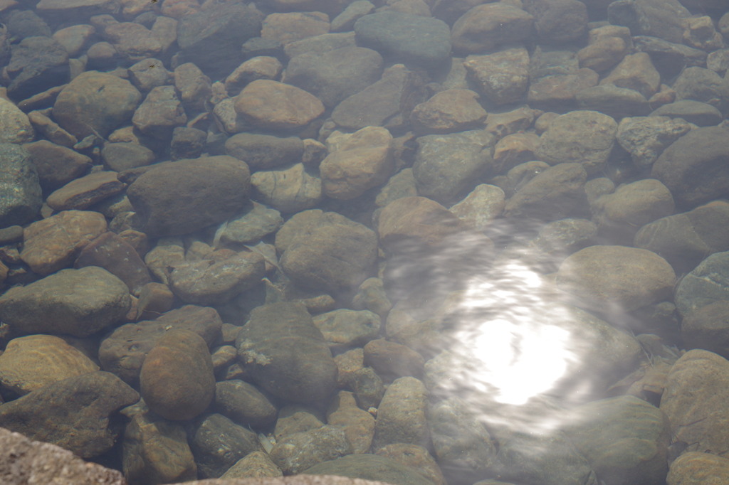 その水面には・・・