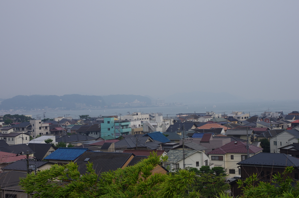 IMGP5372