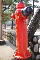 真っ赤なあいつ